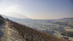 Restaurant Gastronomique Lac du Bourget (73) · Les Morainières