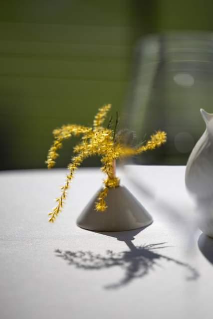 Restaurant 2 étoiles Savoie (73) · Les Morainières à Jongieux