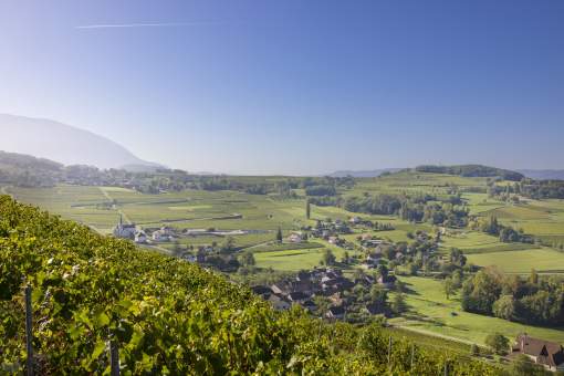 Restaurant étoilé Savoie · Les Morainières · Nos Engagements