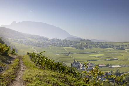 Lac du Bourget Activités · Tourisme Savoie · Les Morainières