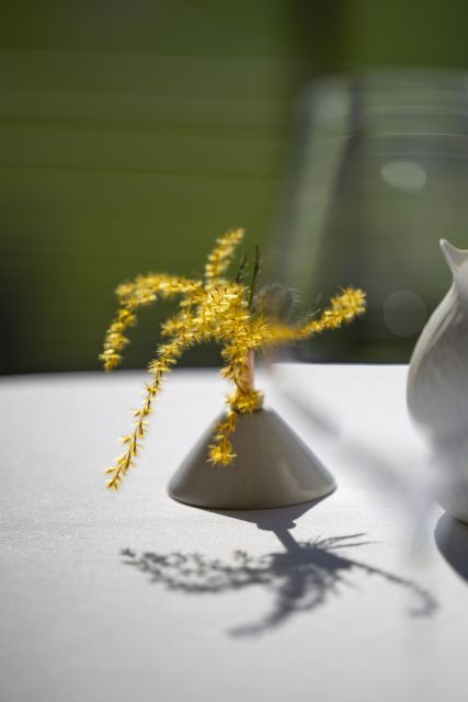 Les Morainières · Restaurant Gastronomique Jongieux