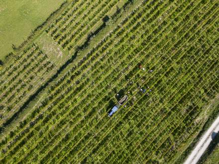 Producteurs locaux du Restaurant Etoilé Les Morainières en Savoie