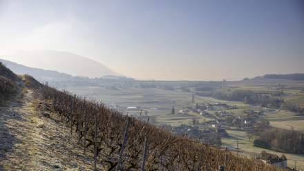 Lac du Bourget Activités · Tourisme Savoie · Les Morainières