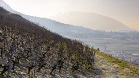 Lac du Bourget Activités · Tourisme Savoie · Les Morainières